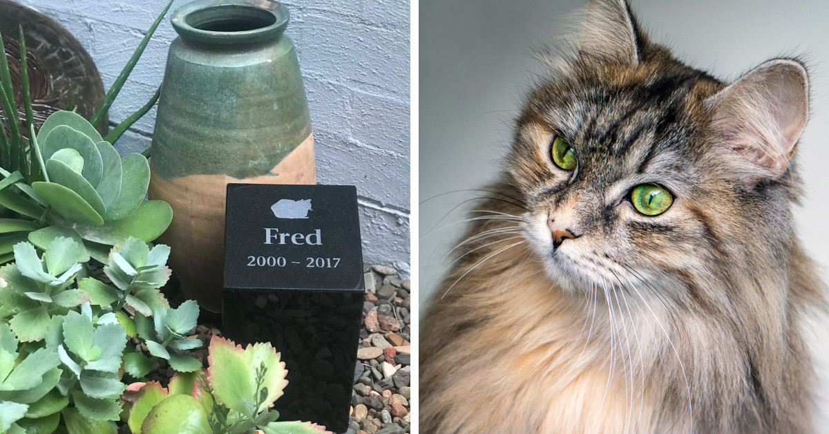 Outdoor Pet Urn – Polished Black Granite – Personalised