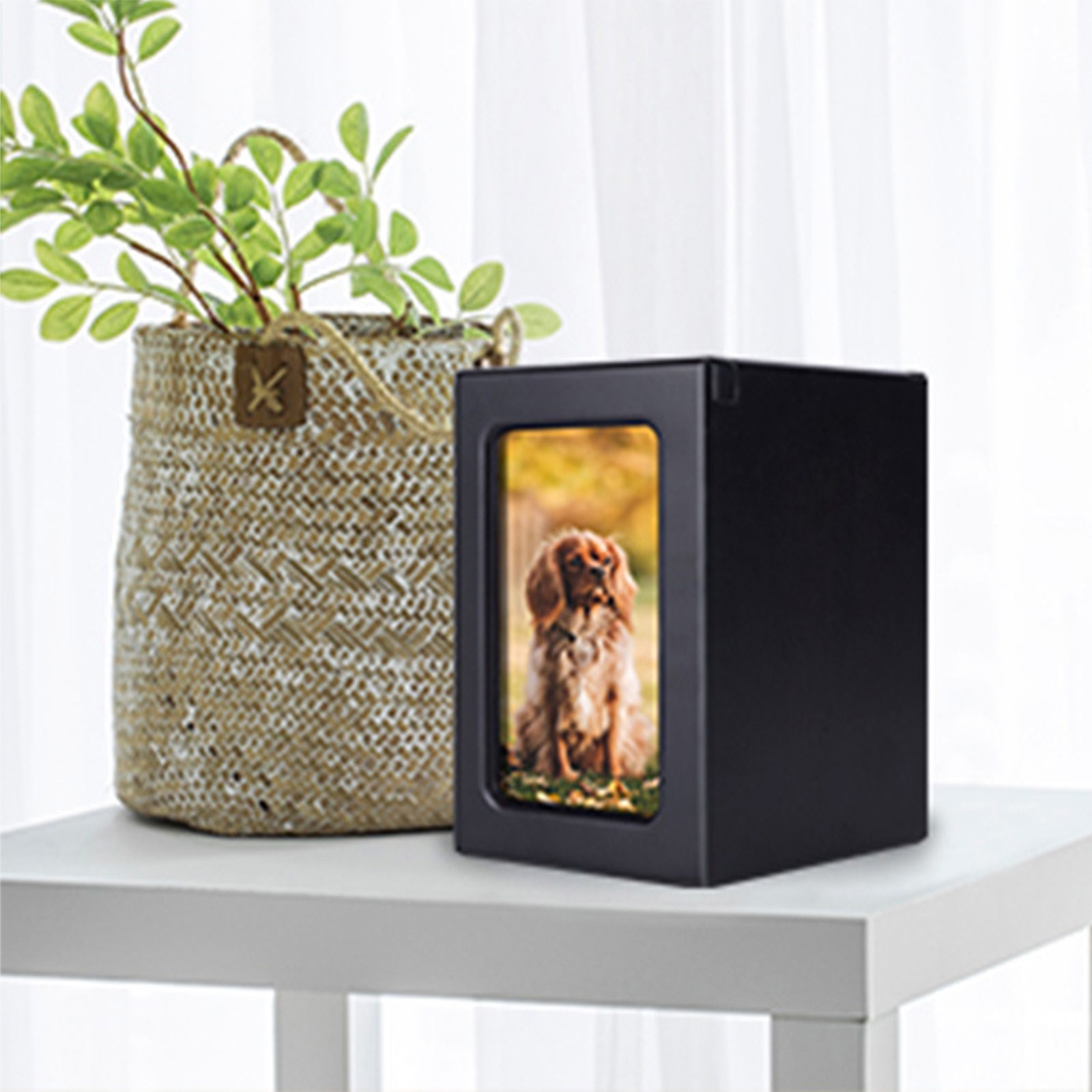 Black Wooden Funeral Cremation Urn with Photo Frame 3.9*3.6in For Dogs And Cats