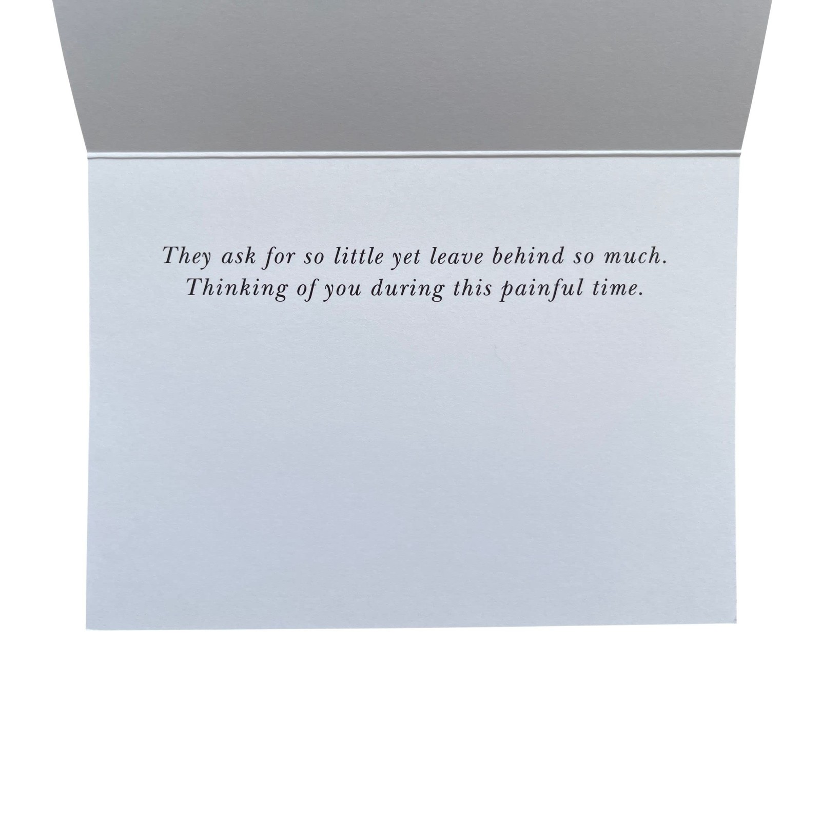Pet Sympathy Cards for Dogs and Cats – 16 Paw Print Pet Sympathy Cards with E…