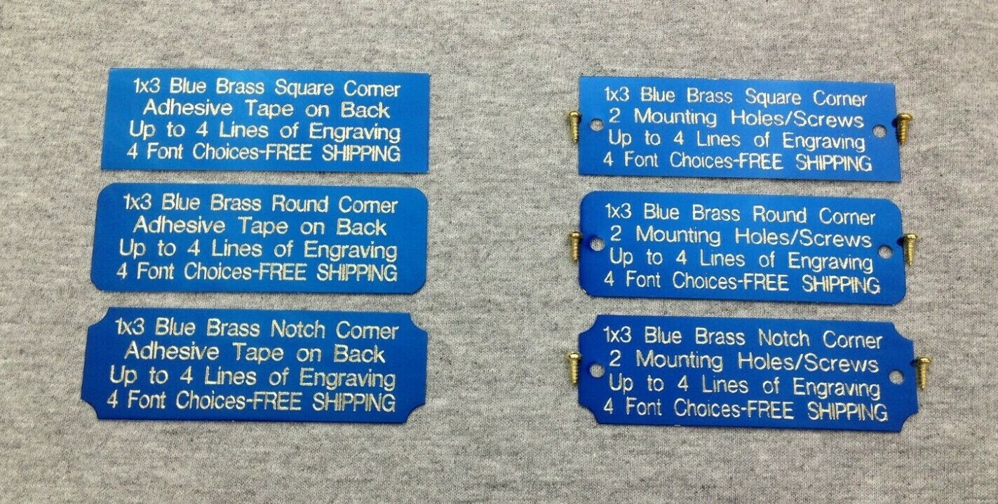 1×3 Custom Engraved Blue Brass Plate, Trophy, Taxidermy, Picture, Flag, Pet