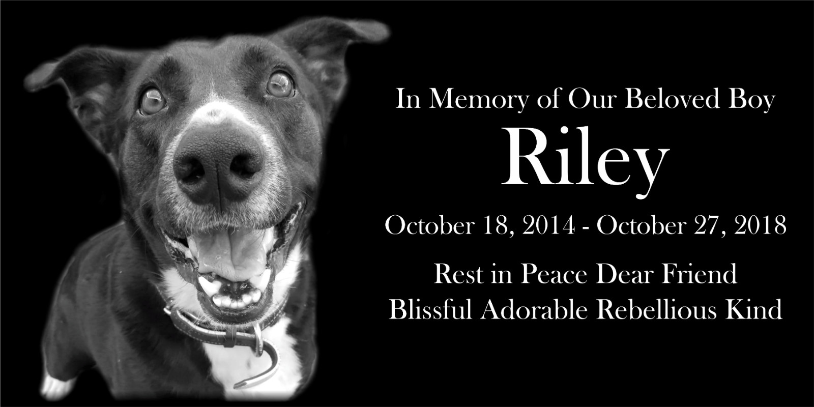 Personalized Pet Stone Memorial Grave Marker Granite Plaque Human headstone