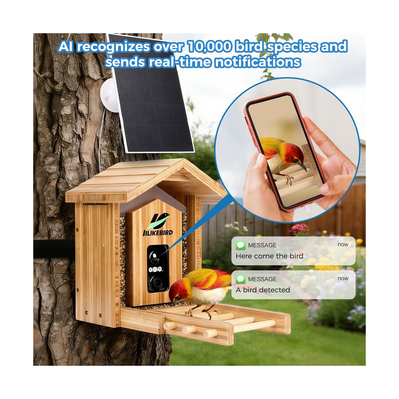 Bamboo Smart Bird Feeder with 4K Camera, AI Bird Identification 10000+ Specie…
