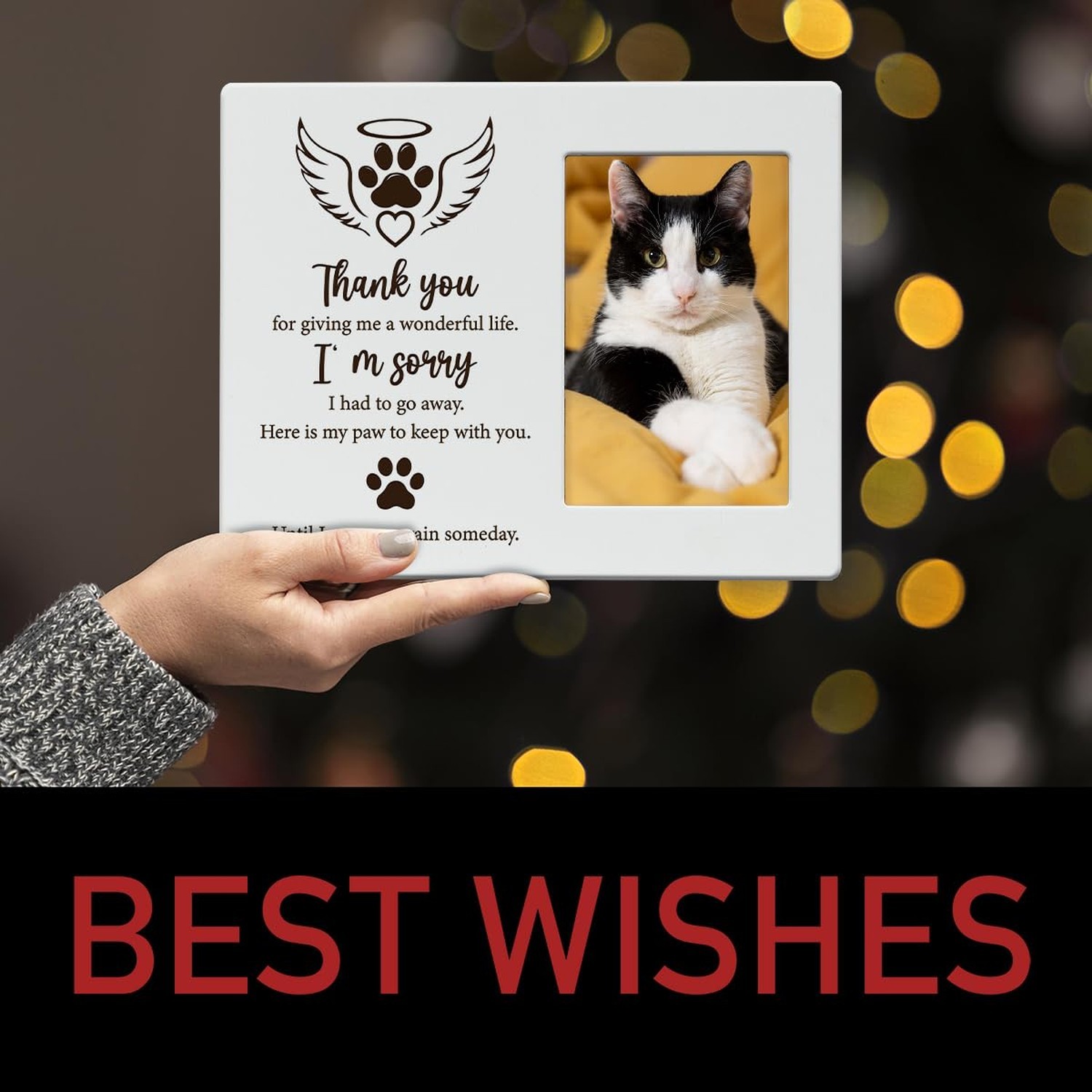 IAXIC Cat Memorial Gifts for Loss of Pet Sympathy Picture Frame, Pet Memory P…