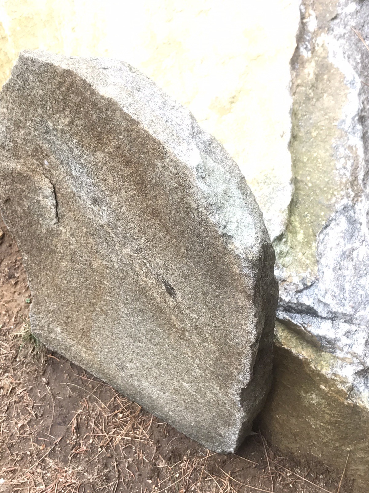 Natural Quartz Granite Stone Grave Marker Headstone Garden Pet Memorial Burial