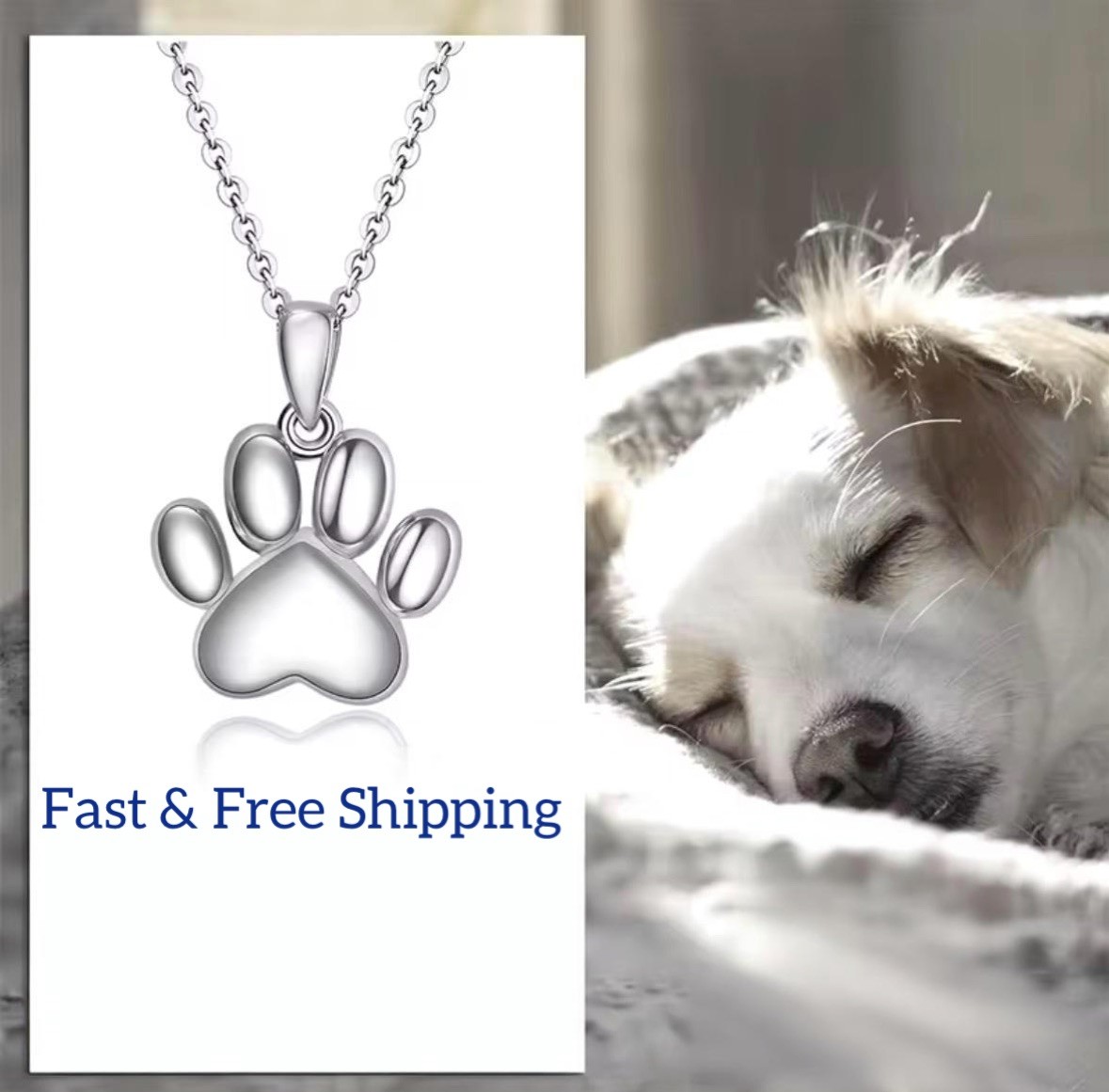 Cremation Urn Necklace Pet Memorial Ash Holder Silver Paw Print Keepsake