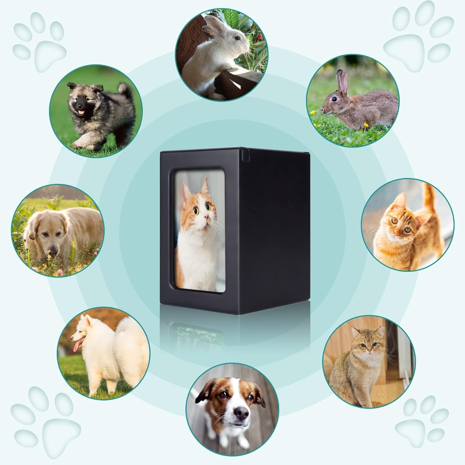 Elegant Wooden Pet Cremation Box with Photo Frame – Large for Pets Up to 80 lbs