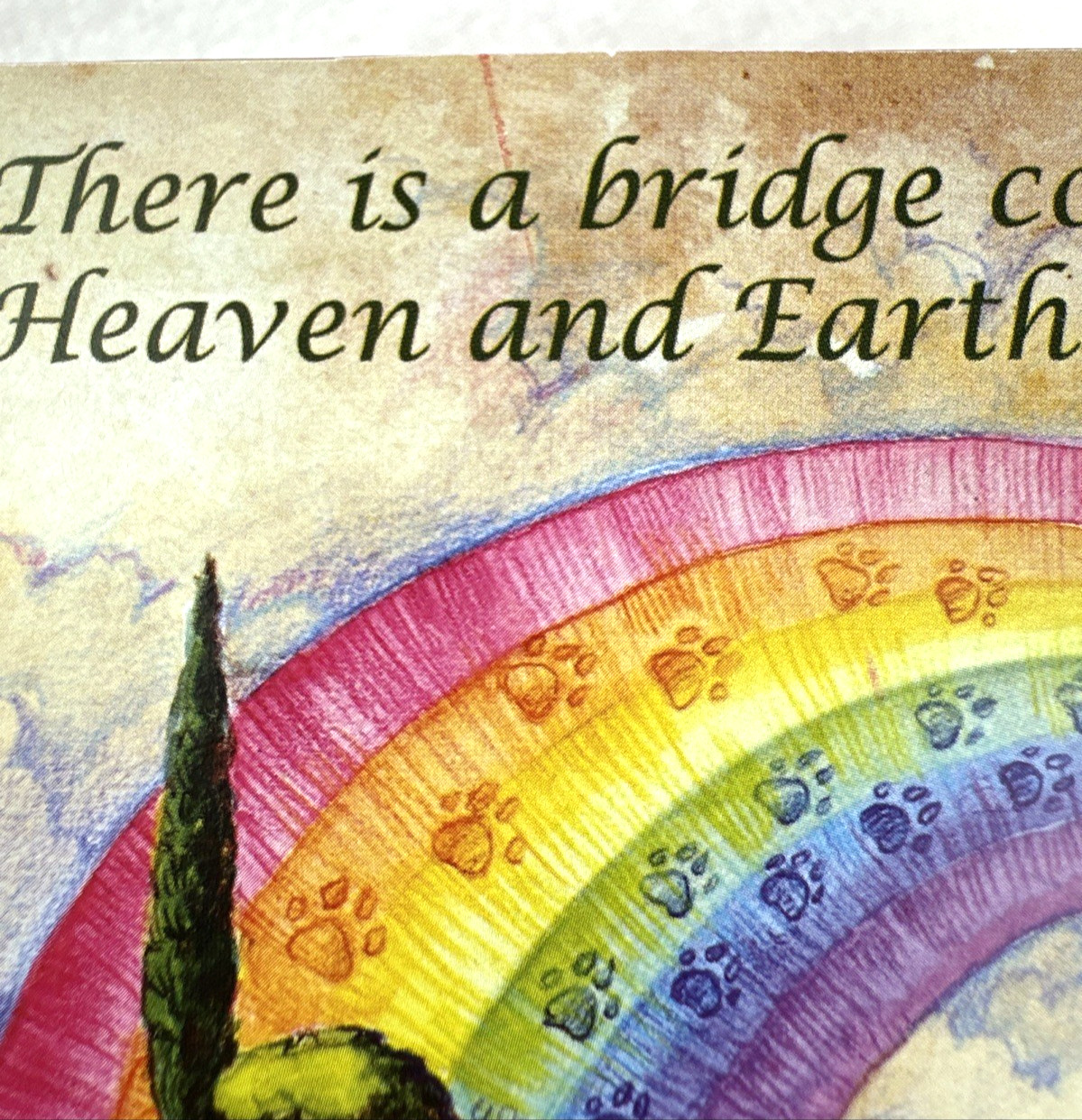 Rainbow Bridge Pet Loss Remembrance Urn Box w/Poem- Token Keepsake, Free Ship