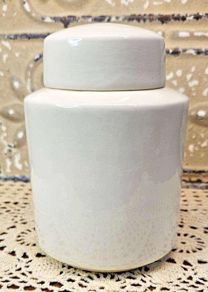 Dalmatian Dog Ceramic Pet Urn Pictorial Memorial Jar w/ Lid