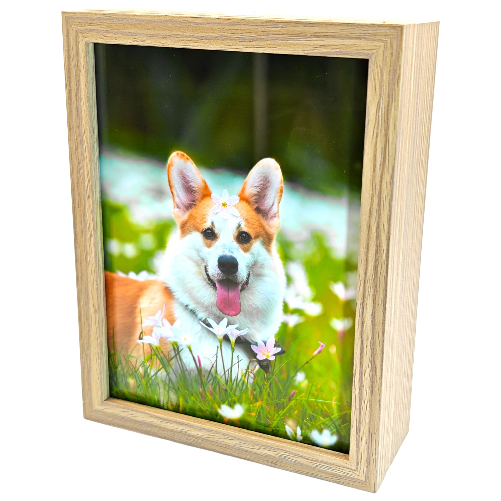 5×7 Pet Memorial Shadow Box for Dog & Cat Pet Loss Gift Keepsake Photo Frame