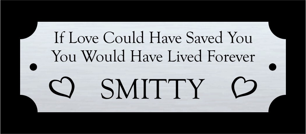 1×3″ Custom Personalized Gold or Silver Aluminum Pet Memorial Name plate