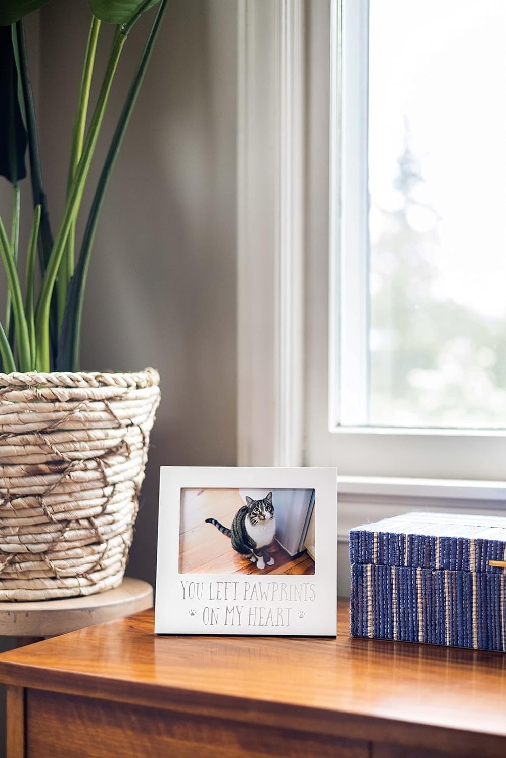 Timeless 4×6 Pet Memorial Picture Frame – A Heartfelt Tribute to Lost Companions