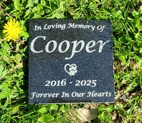 Pet Memorial Granite Stone Engraved Grave Marker Headstone Garden Plaque d5