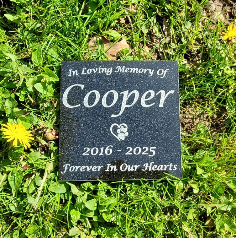 Pet Memorial Granite Stone Engraved Grave Marker Headstone Garden Plaque d5