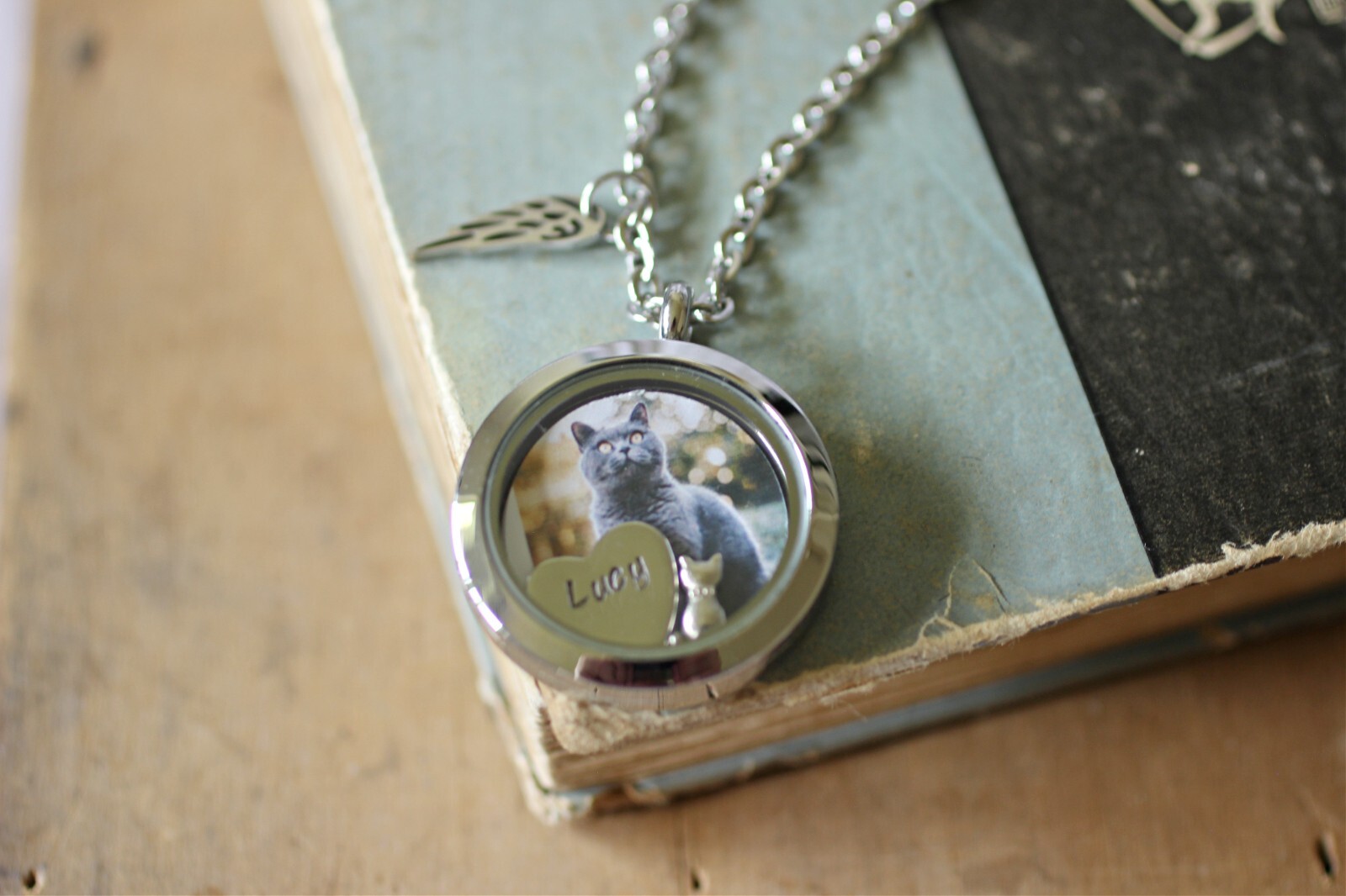 Cat Memorial Necklace, Locket Necklace with A Photo, Cat Fur Keepsake Locket
