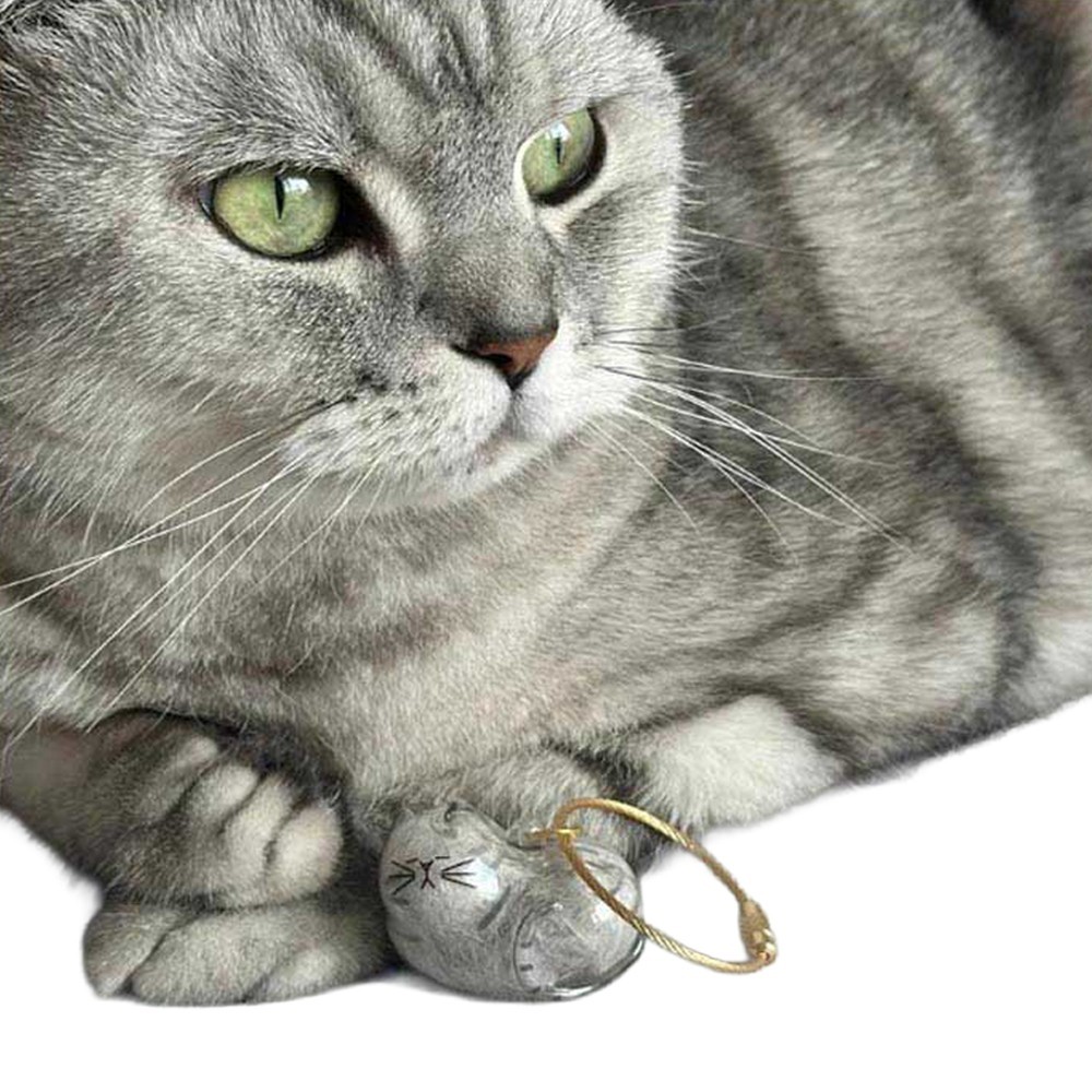Pet Memorial CAT FUR Keychain Case Keepsake Holder Custom Cat Hair Charm Gift