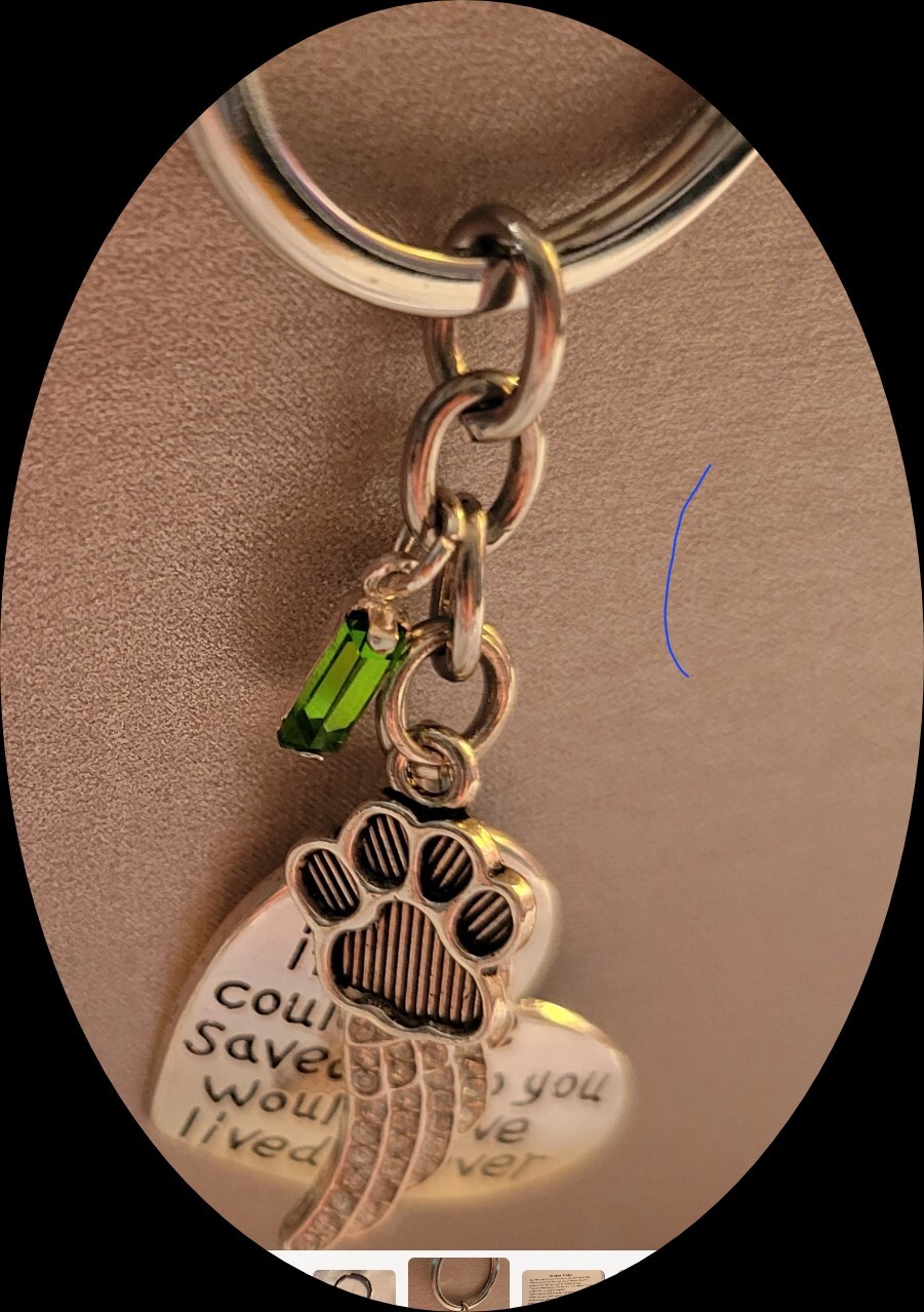 Loss of Pet Memorial Keychain Dog Cat Remembrance Jewelry Sympathy Key Ring Tag