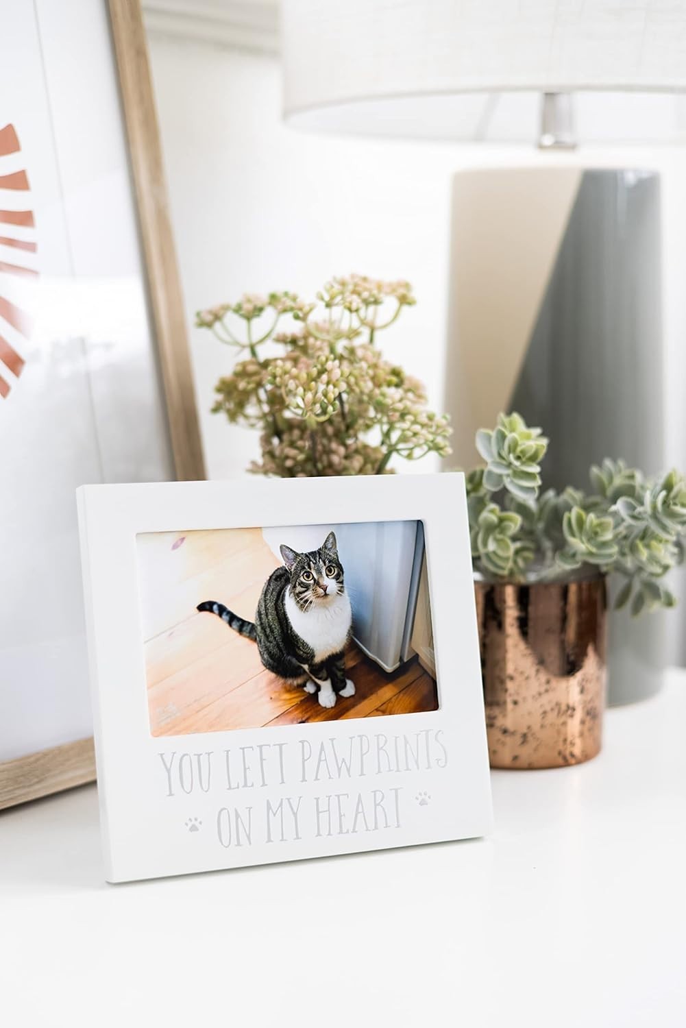 Timeless 4×6 Pet Memorial Picture Frame – A Heartfelt Tribute to Lost Companions