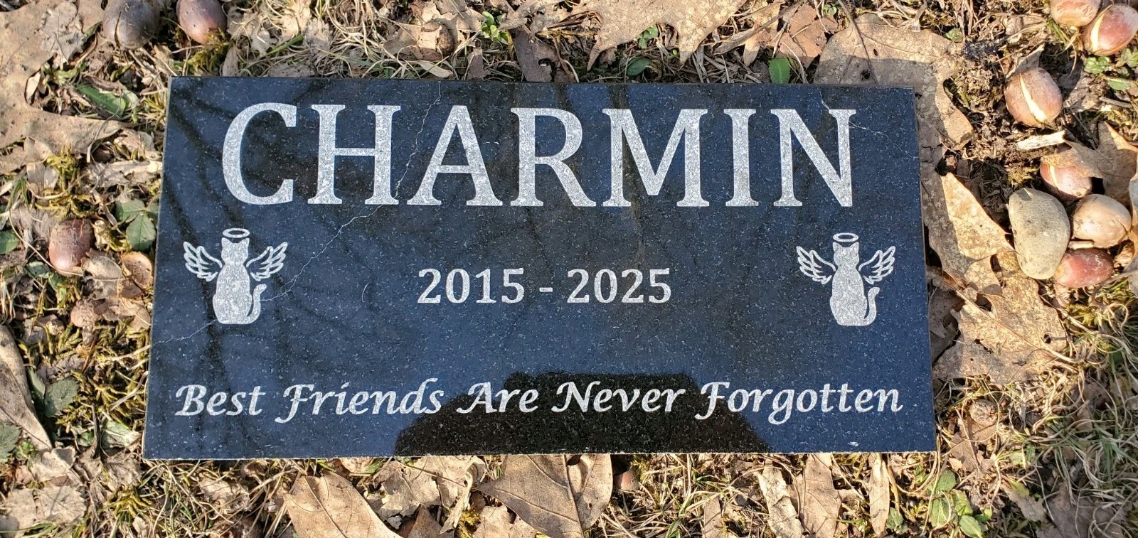 Cat Pet Memorial Granite Stone Engraved Grave Marker Headstone Garden Plaque t8