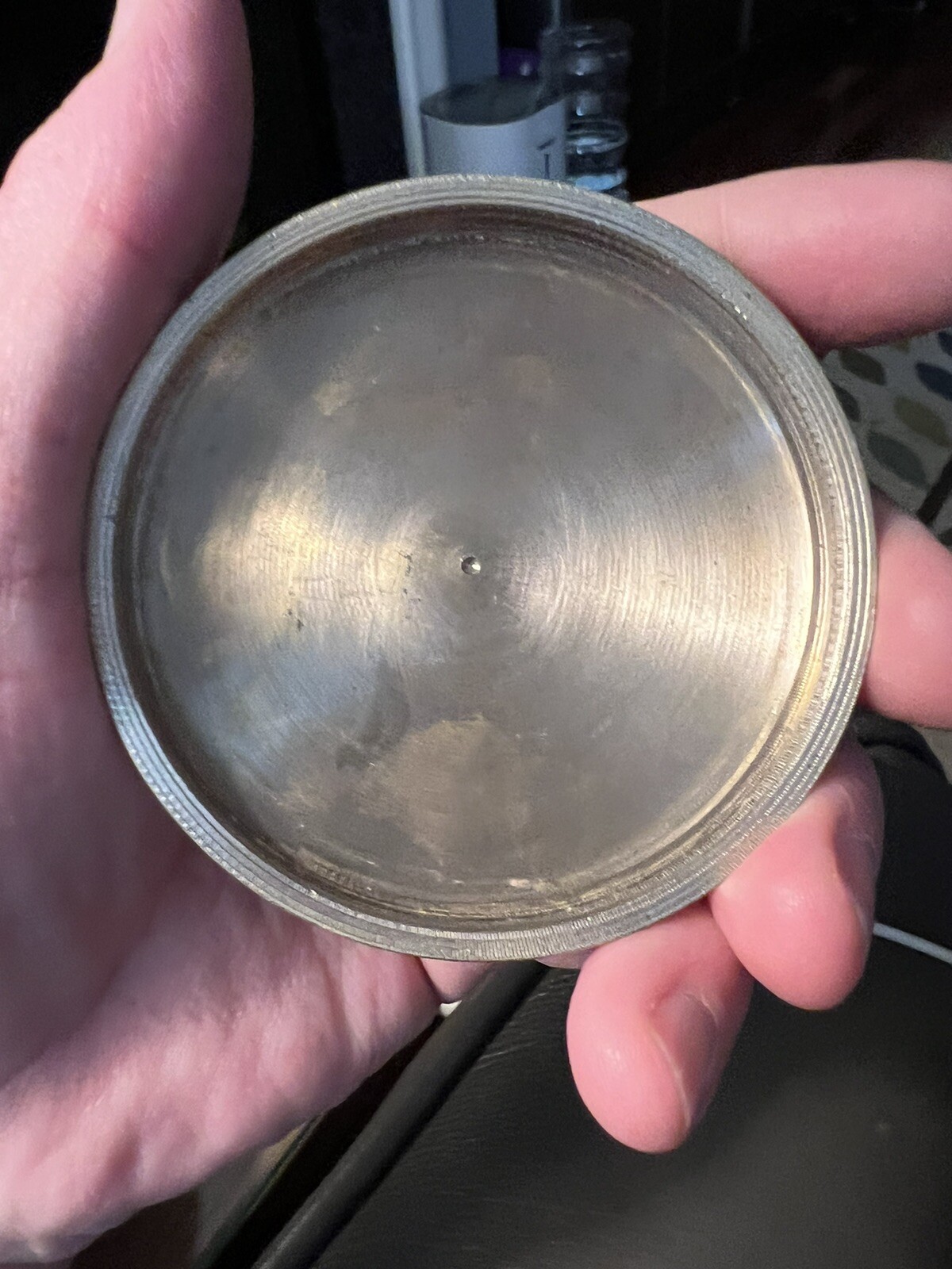 Dog Cremation Urn for Dogs and Cats — Brushed