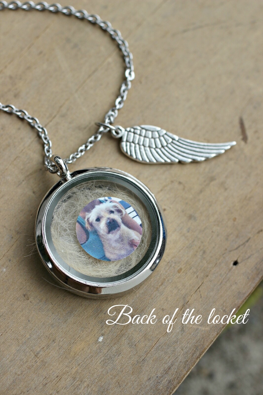 Pet Memorial Gifts Pet Hair Memorial Necklace Pet Loss Gifts Dog Hair Keepsake