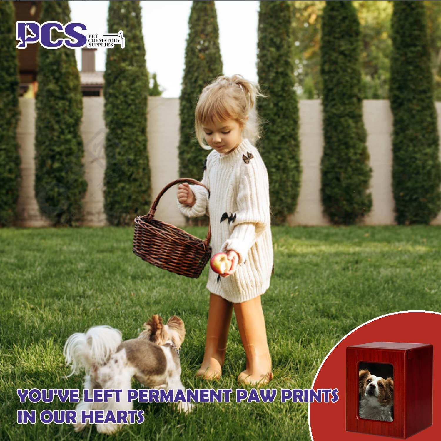 Red Small Pet Urns Dogs Ashes Photo Frame Cremation Box Memorial Storage