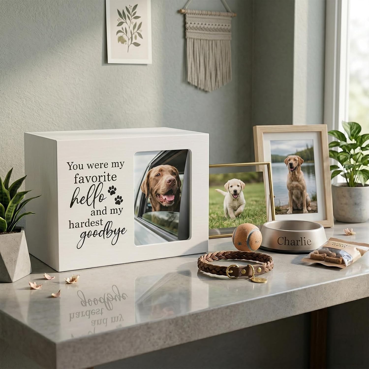 Sympathy Urn for Dog Loss White Wooden Pet Memorial Box with Photo Insert