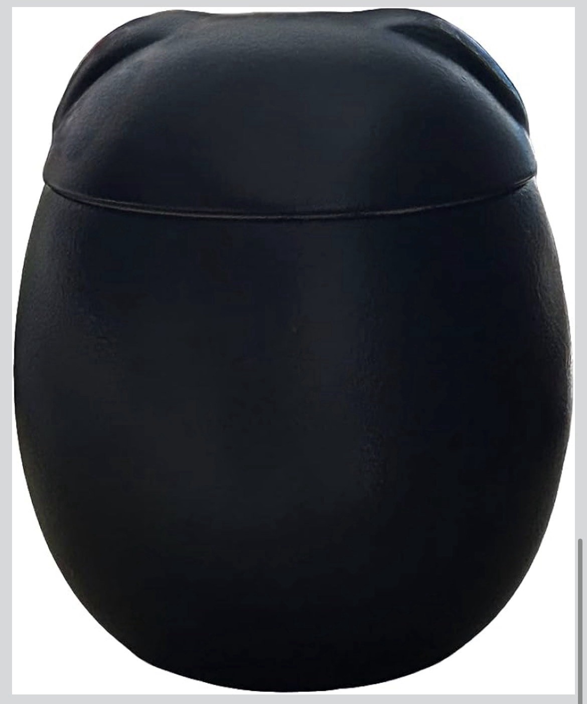 Small Dog Urn,Pet Urn,Pet Urns for Dogs,Pet Cremation Urn, Dog Urns for Ashes
