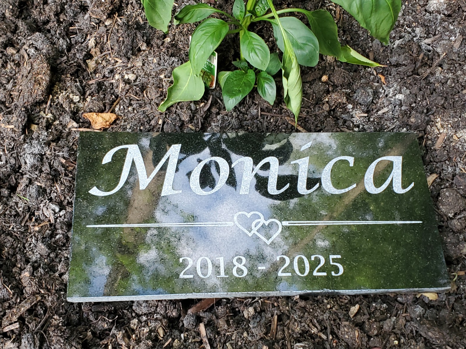 Personalized Pet Memorial Stone – Custom Engraved Tribute for Dog Cat Loss t13