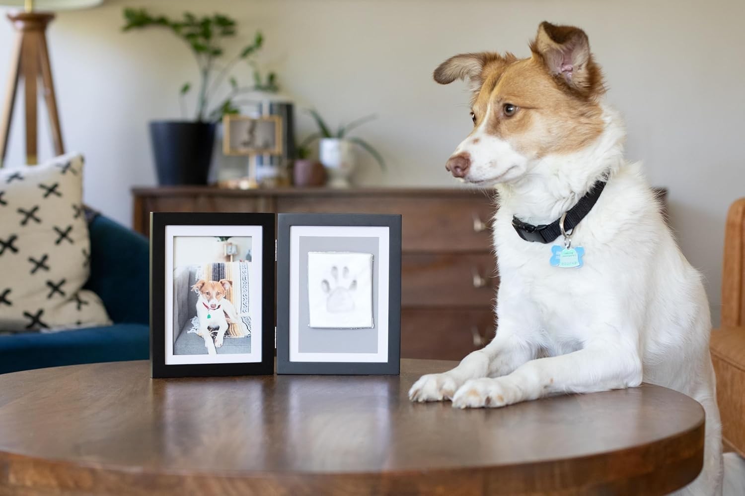 Pet Paw Print Photo Frame With Clay Imprint Kit – Wooden Pet Paw Print Frame,…
