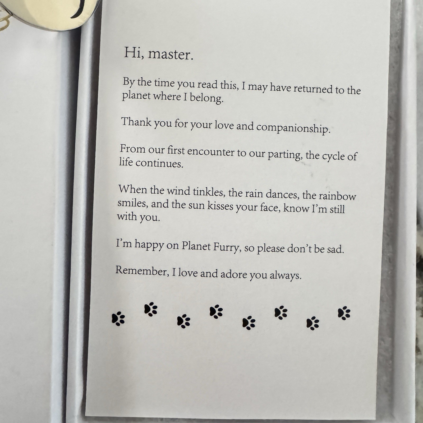 Pet Memorial Gifts for Dogs, Loss of Dog Sympathy Gift- Crystal Suncatcher- NIB