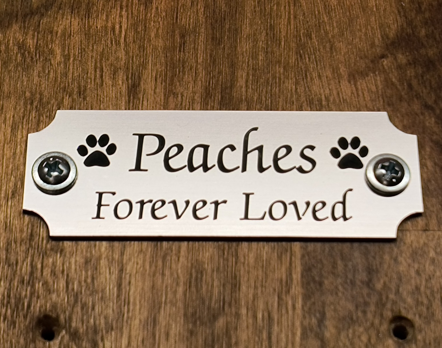 Custom Engraved Brushed Silver Pet Memorial Urn Plaque Plate Cat Dog with Screws