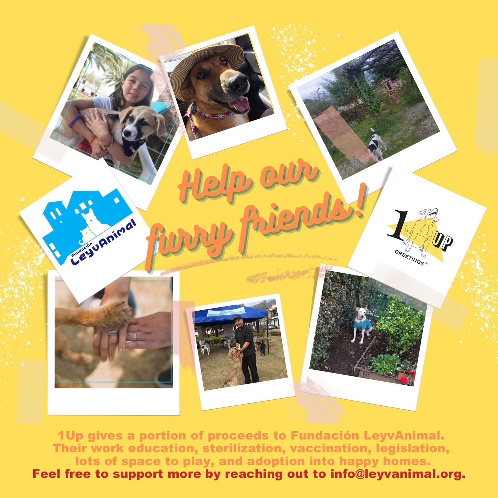 Dog Sympathy Card | Your Purchase Helps Animals In Need | 5”x7.5” |