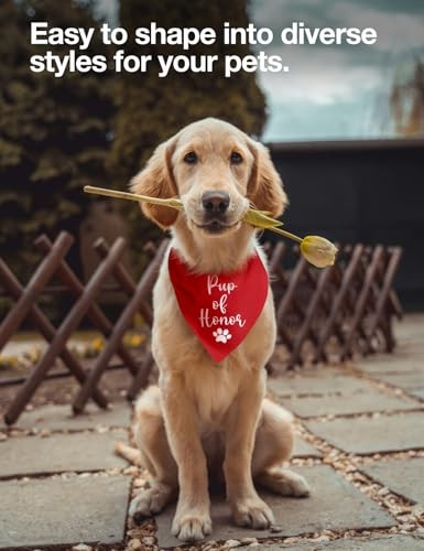 Pup of Honor Dog Bandana, Dog Wedding Bandana Pet Scarf Red Pup of Honor
