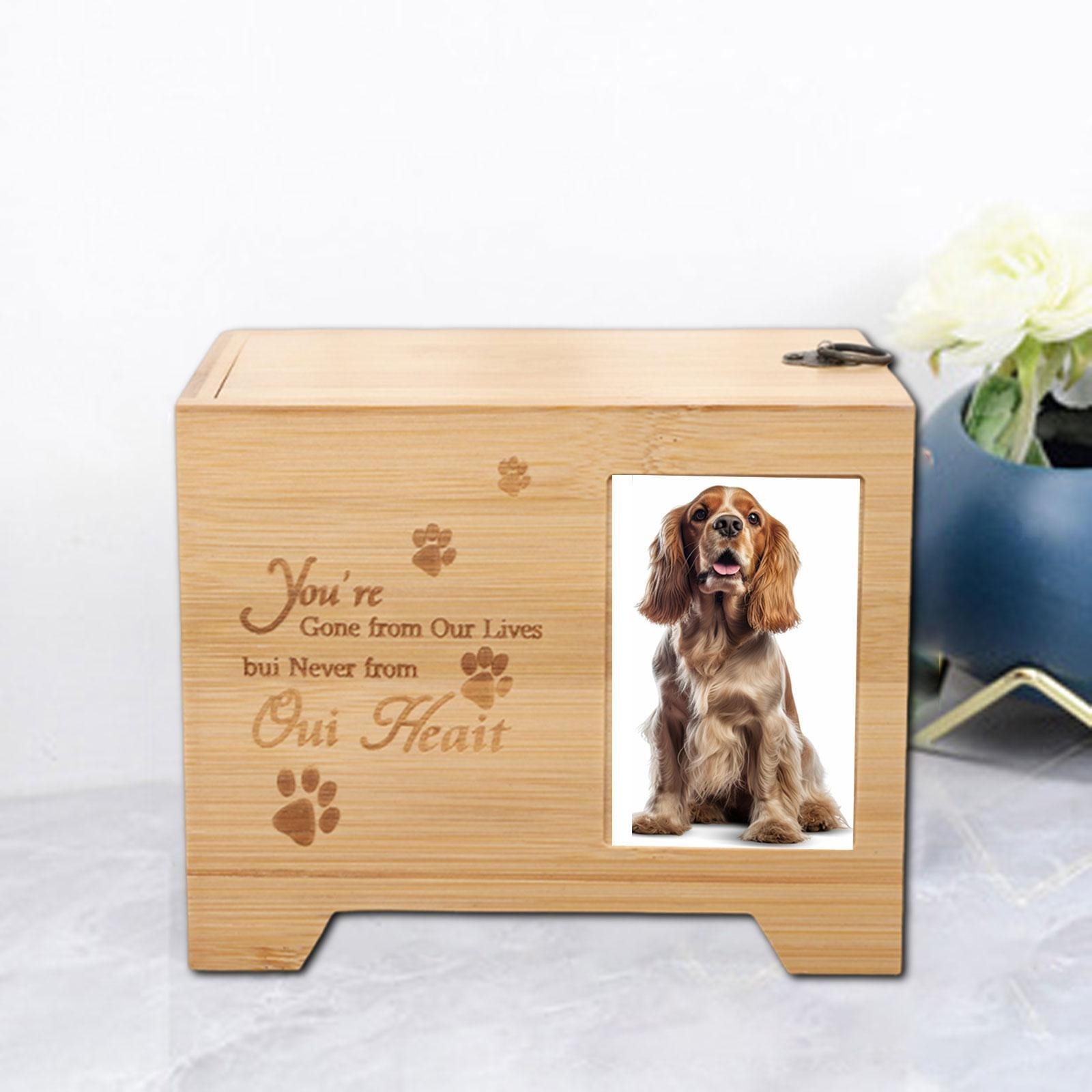 Pet Memorial Urn for Dogs Cats Small Animals Funeral Pet Remembrance Container