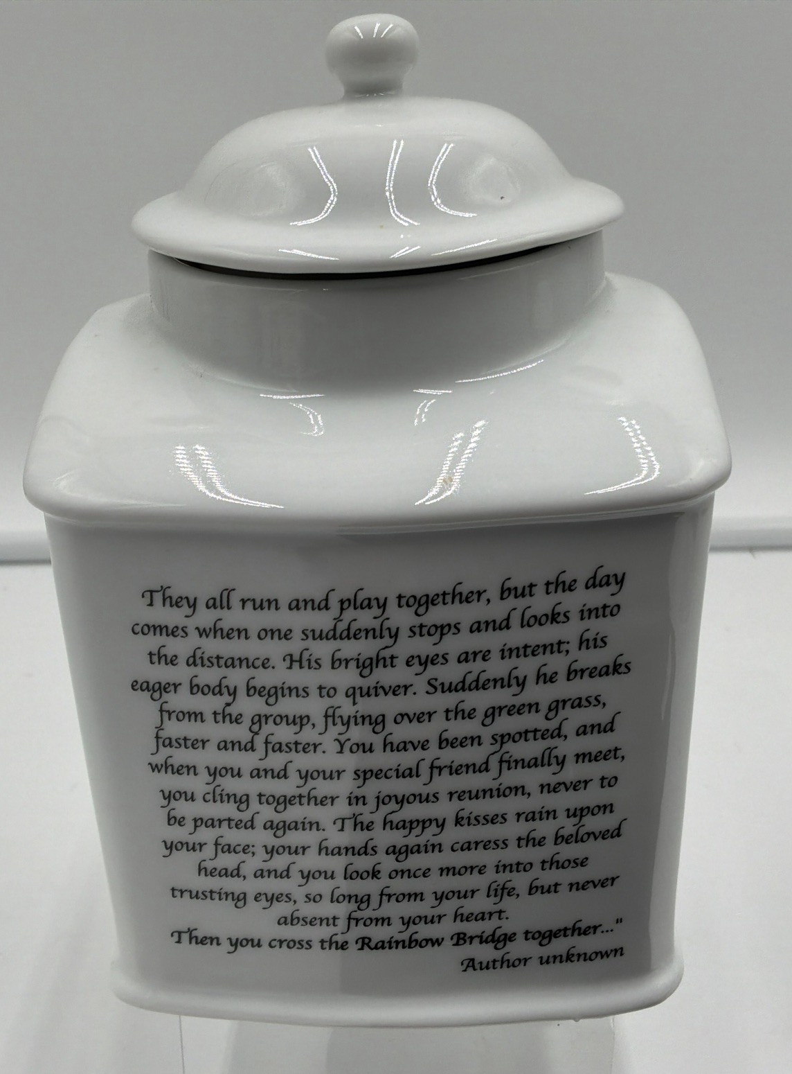 Rosalinde Rainbow Bridge Cat Urn Porcelain Pet Memorial Keepsake Jar USA