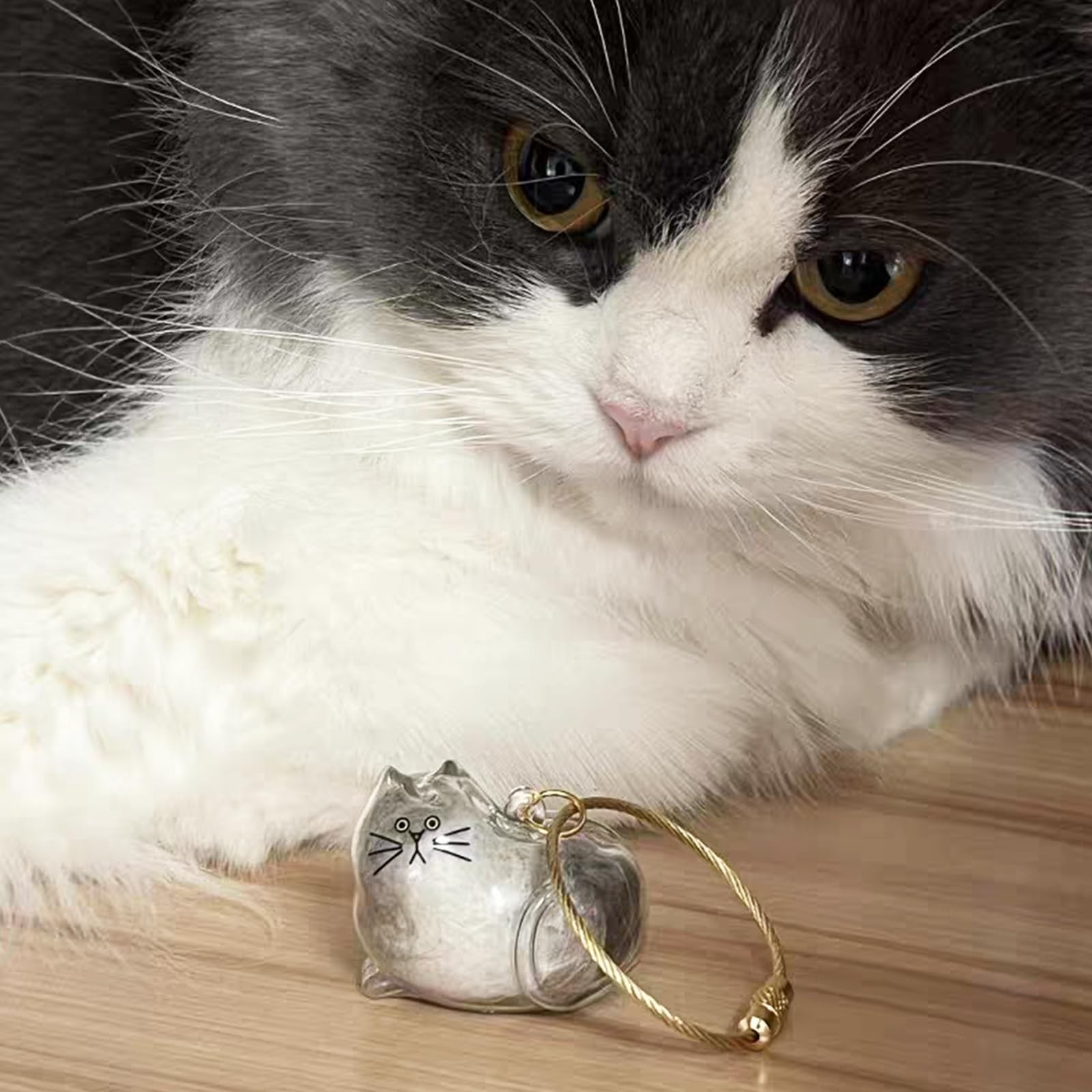 Cute Cat Hair Keychain Cat Fur Keepsake with Tweezer, Transparent Pet Fur Mem…
