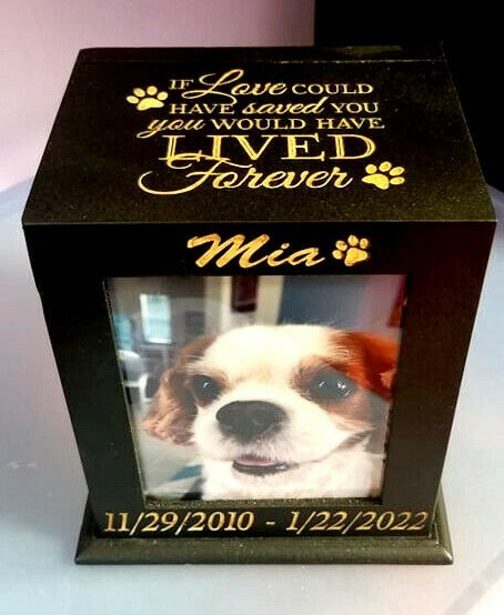 Pet Urn Memorial Custom Engraved | Cat & Dog Wood Cremation Box + Pet Loss Quote