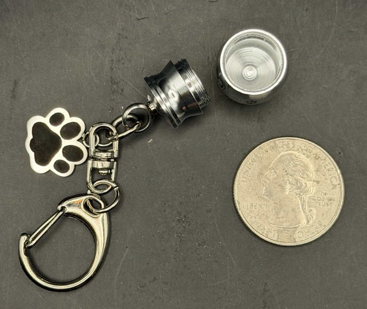 Dog Cat Pet Cremation Ashes Urn Key Chain Keepsake Paw Print Memorial Jewelry