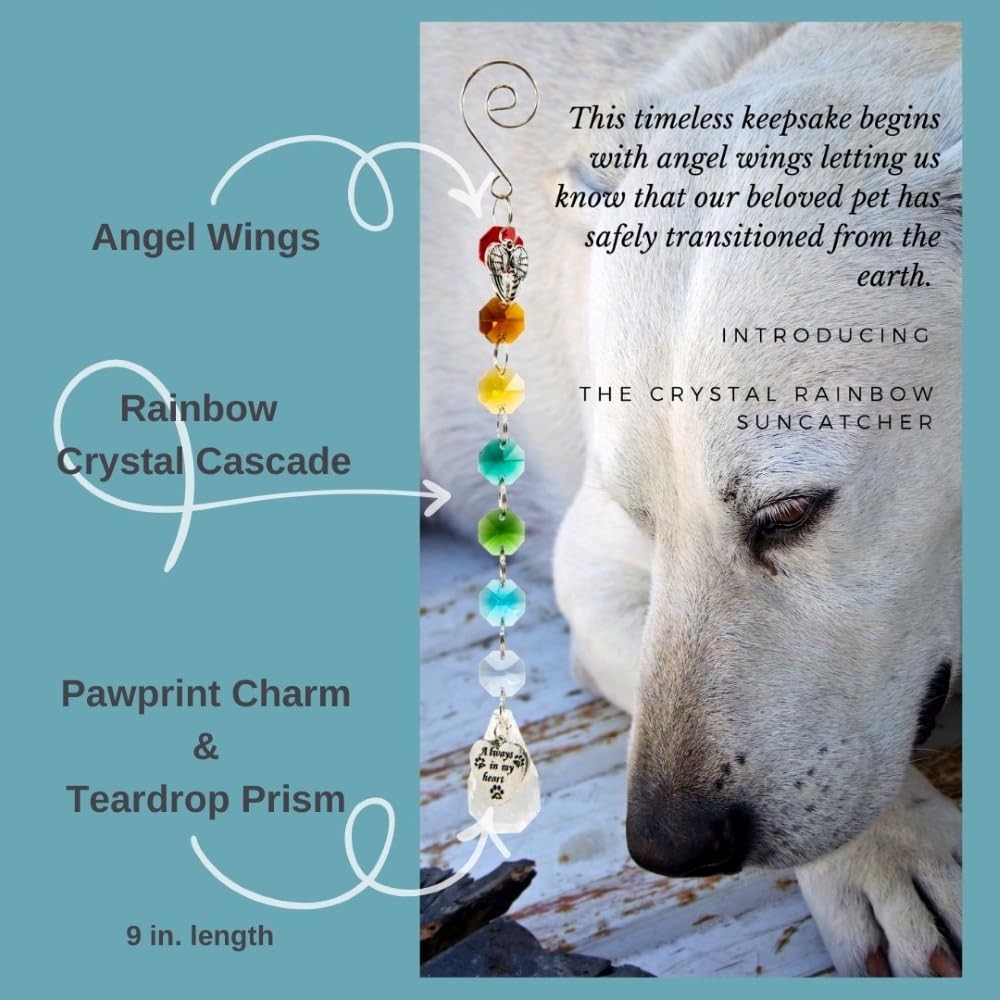 Pet Perennials Pet Memorial Suncatcher – Crystal Rainbow Prism with Angel Wings