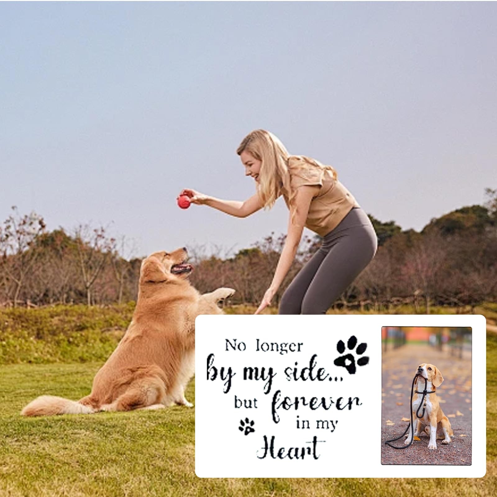 Bigladious Dog Memorial Gifts Picture Frame Pet Memorial Gifts For Loss