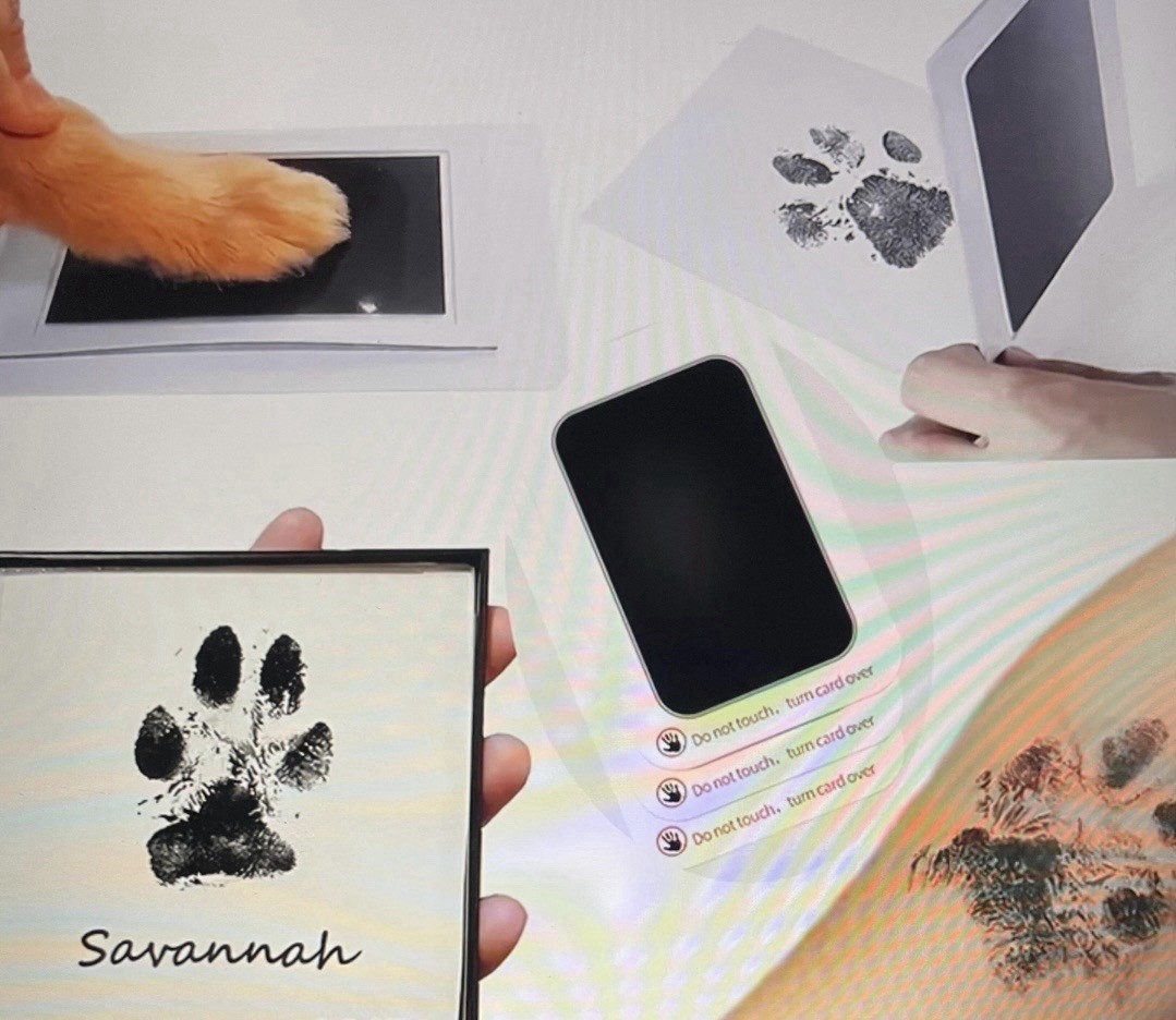 Print Kit: Clean Touch Ink Pad, Baby Or Pet ,2 Ink Pads, 4 ImpressionCards