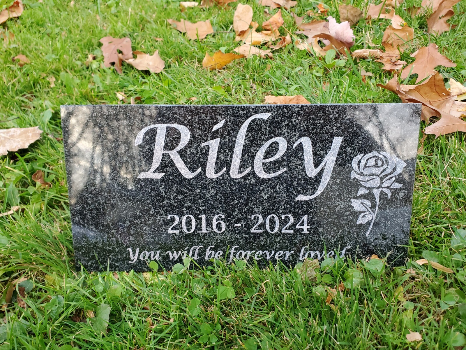 6×12 Pet memorial grave head stone marker cat dog chicken rabbit loss gift t6-2