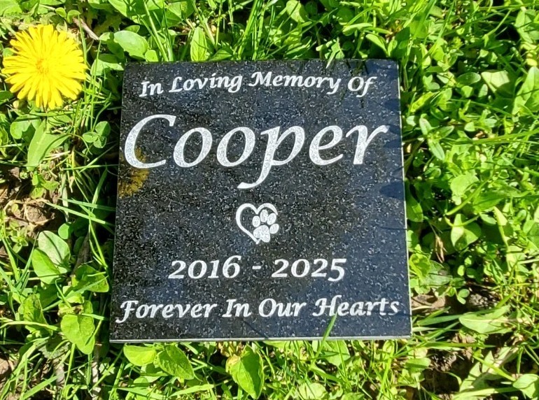 Pet Memorial Granite Stone Engraved Grave Marker Headstone Garden Plaque d5