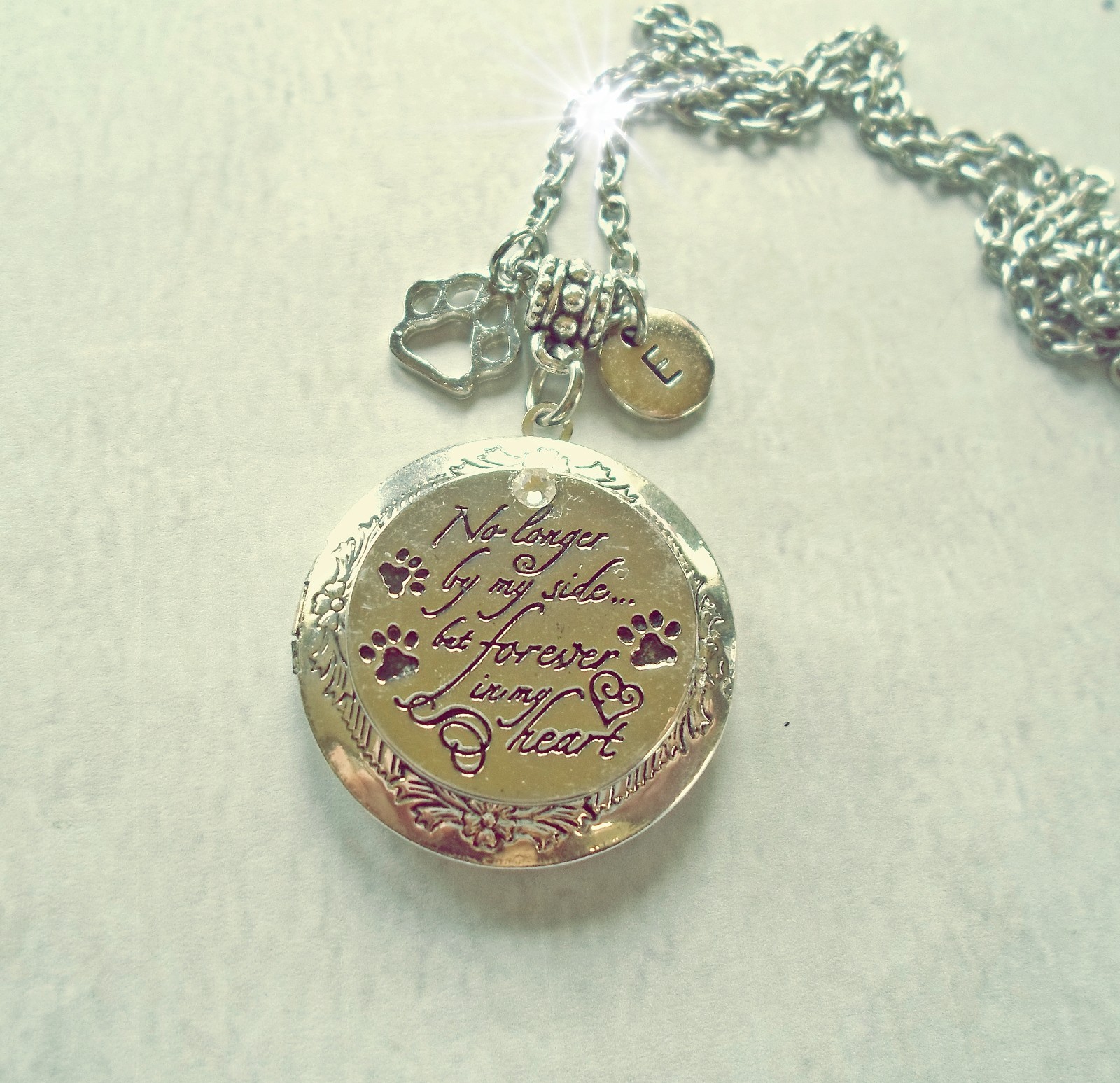 No longer by my side but forever in my Heart, Pet Memorial Locket w-Your Photo
