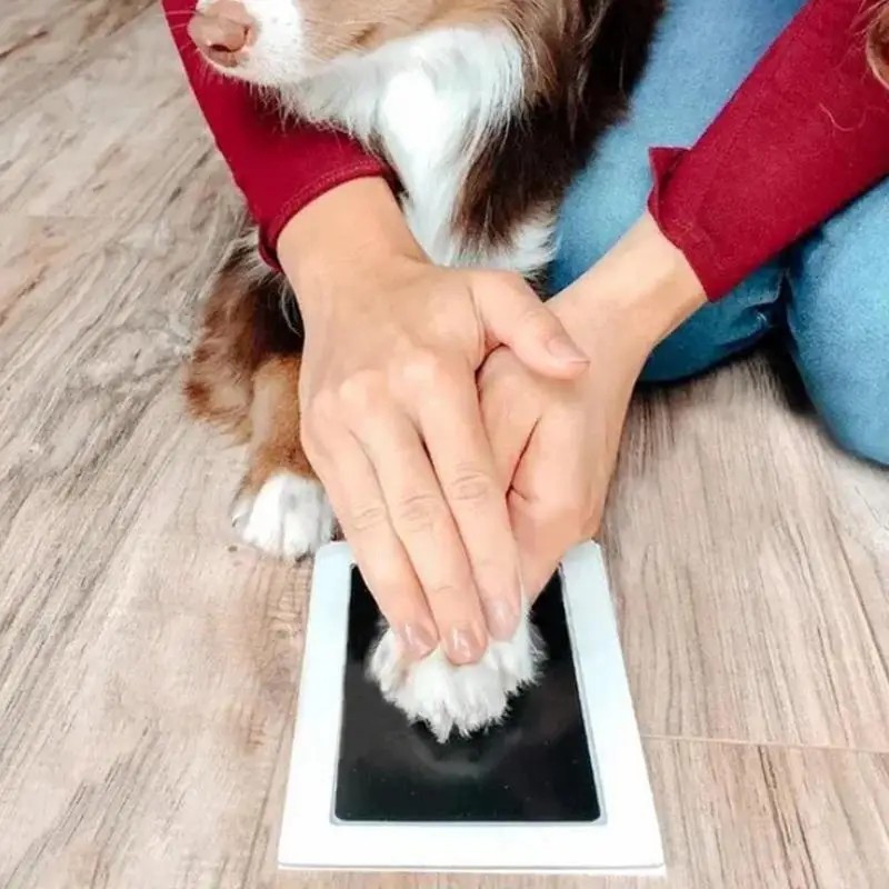 Pet Paw Print Ink Pad Kit Dog Cat Inkless Keepsake Impression Set