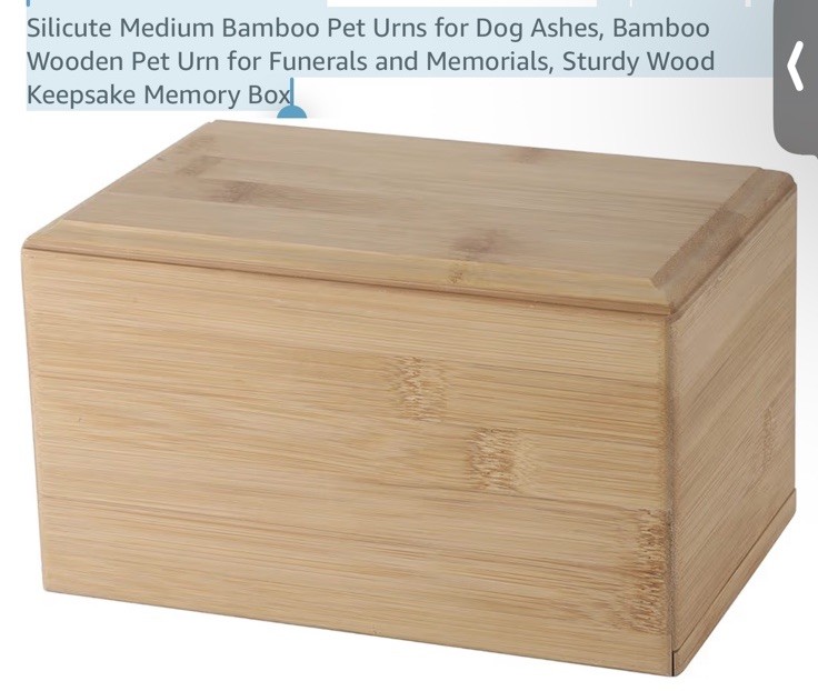 Silicute Pet Urn Wood Box 8x4x5 ashes cremation Bamboo Memorial Funeral Pets New