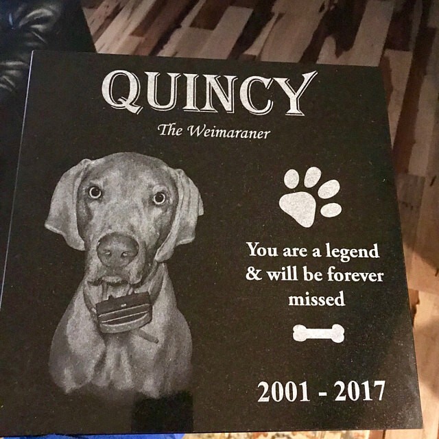 Tombstone Paw Print Pet Memorial Stone Gravestone Picture Grave Garden Dog Puppy