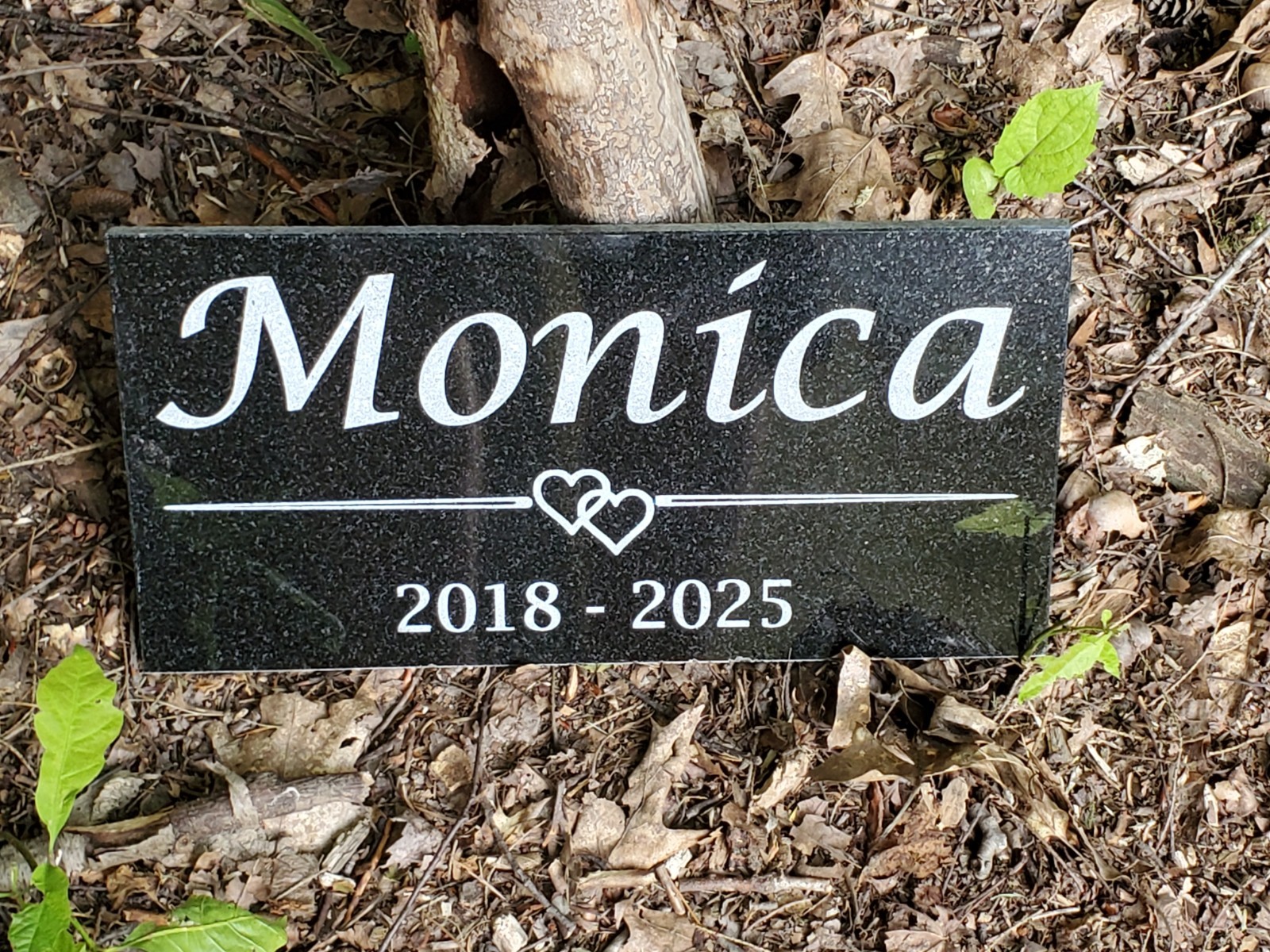 Personalized Pet Memorial Stone – Custom Engraved Tribute for Dog Cat Loss t13