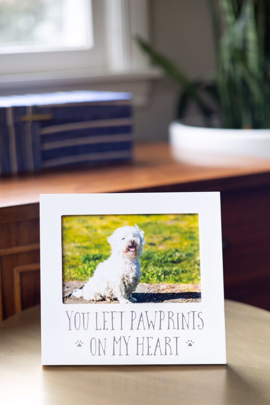 Pearhead You Left Pawprints on my Heart Pet Remberance/Sentiment Picture Frame