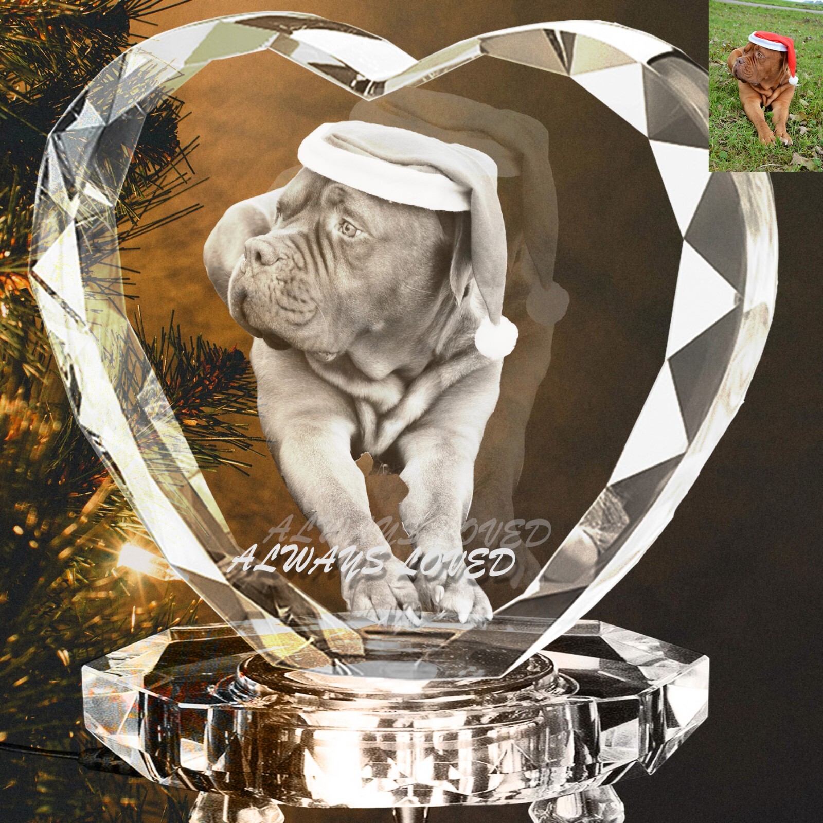 Personalised 3D PHOTO Crystal Valentines Gifts Custom Pet Dog Memorial Picture
